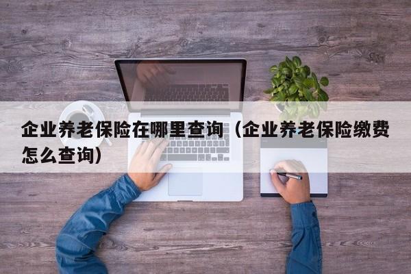 企业养老保险在哪里查询（企业养老保险缴费怎么查询）