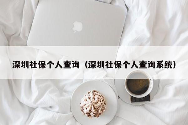 深圳社保个人查询（深圳社保个人查询系统）