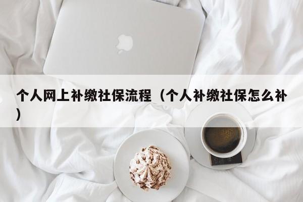 个人网上补缴社保流程（个人补缴社保怎么补）