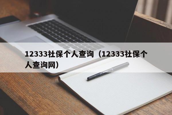 12333社保个人查询（12333社保个人查询网）