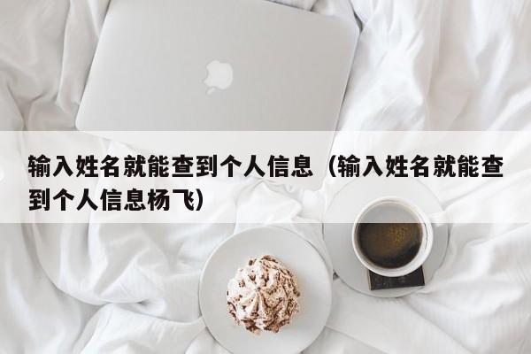 输入姓名就能查到个人信息（输入姓名就能查到个人信息杨飞）