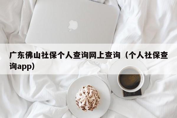 广东佛山社保个人查询网上查询（个人社保查询app）