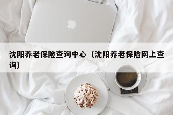 沈阳养老保险查询中心（沈阳养老保险网上查询）