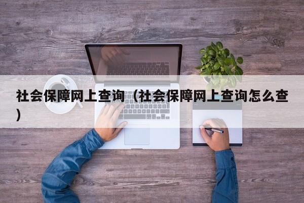 社会保障网上查询（社会保障网上查询怎么查）