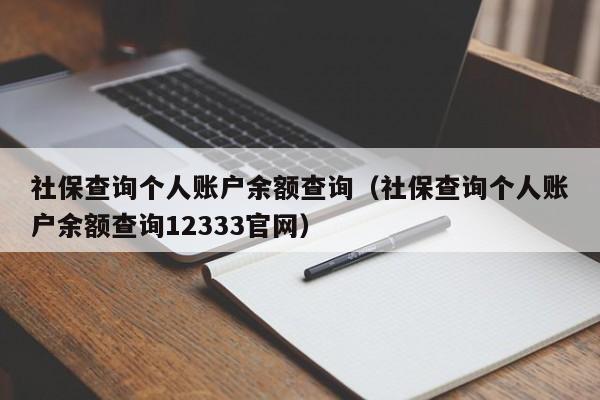 社保查询个人账户余额查询（社保查询个人账户余额查询12333官网）