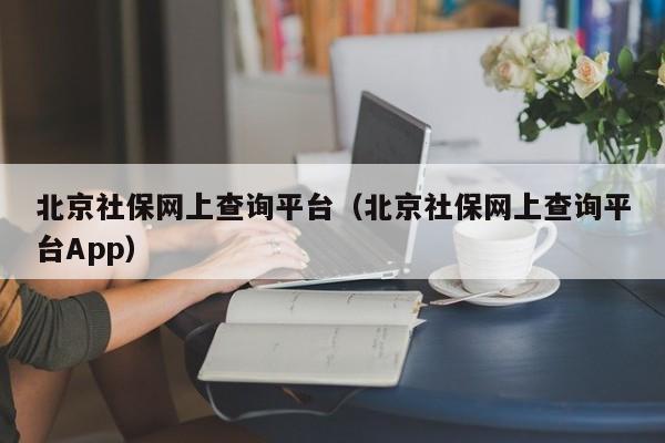 北京社保网上查询平台（北京社保网上查询平台App）