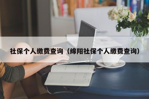 社保个人缴费查询（绵阳社保个人缴费查询）