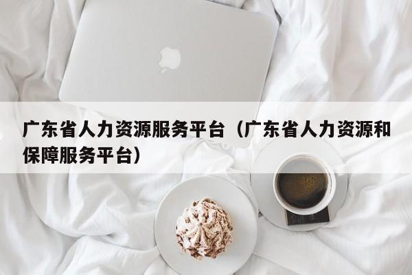 广东省人力资源服务平台（广东省人力资源和保障服务平台）