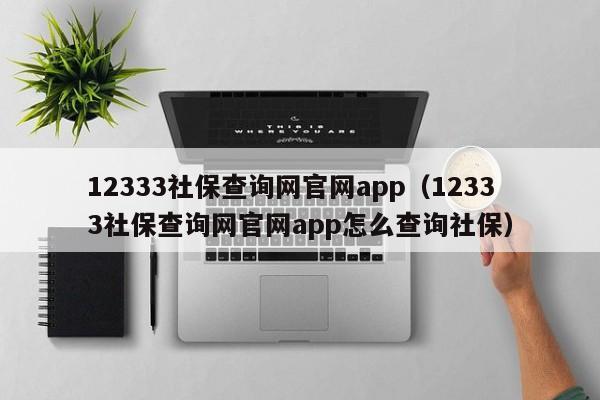 12333社保查询网官网app（12333社保查询网官网app怎么查询社保）