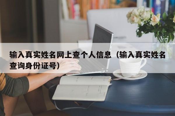 输入真实姓名网上查个人信息（输入真实姓名查询身份证号）