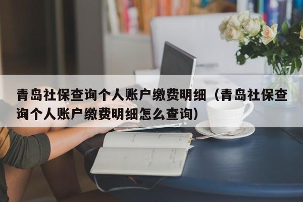 青岛社保查询个人账户缴费明细（青岛社保查询个人账户缴费明细怎么查询）