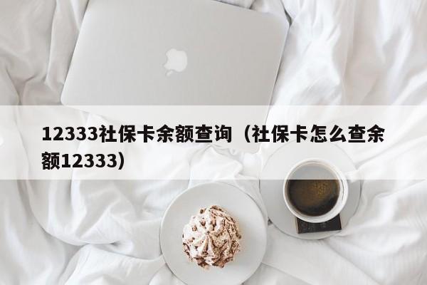 12333社保卡余额查询（社保卡怎么查余额12333）