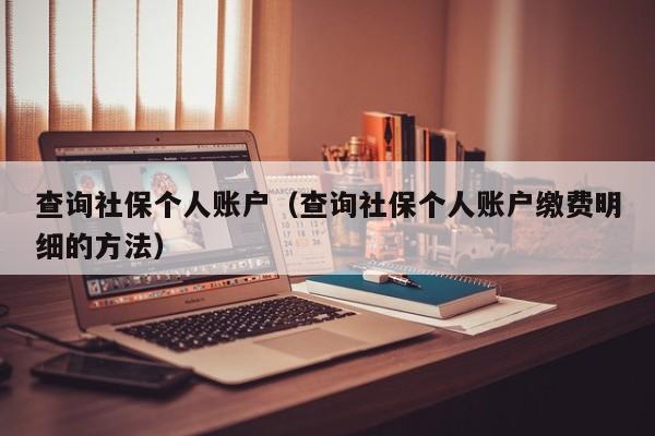 查询社保个人账户（查询社保个人账户缴费明细的方法）