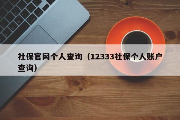 社保官网个人查询（12333社保个人账户查询）