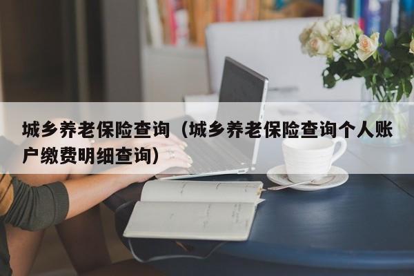 城乡养老保险查询（城乡养老保险查询个人账户缴费明细查询）