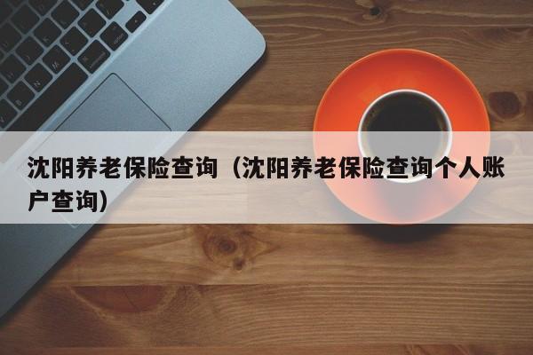 沈阳养老保险查询（沈阳养老保险查询个人账户查询）