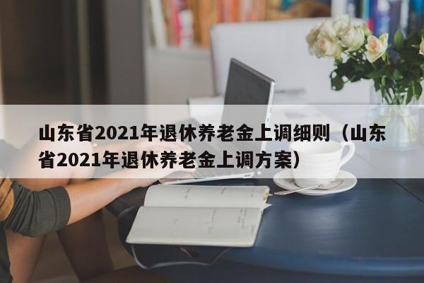 山东省2021年退休养老金上调细则（山东省2021年退休养老金上调方案）