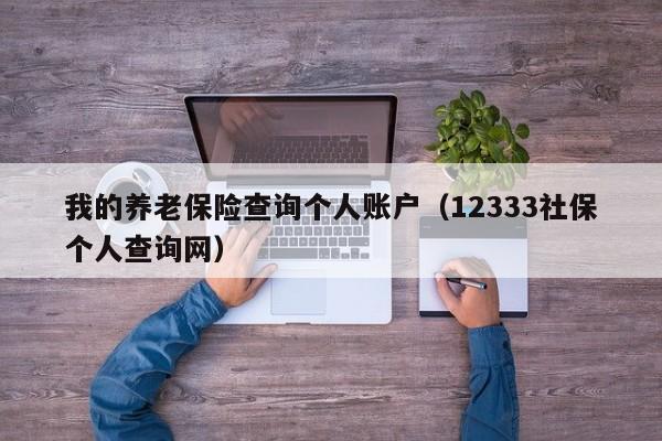 我的养老保险查询个人账户（12333社保个人查询网）