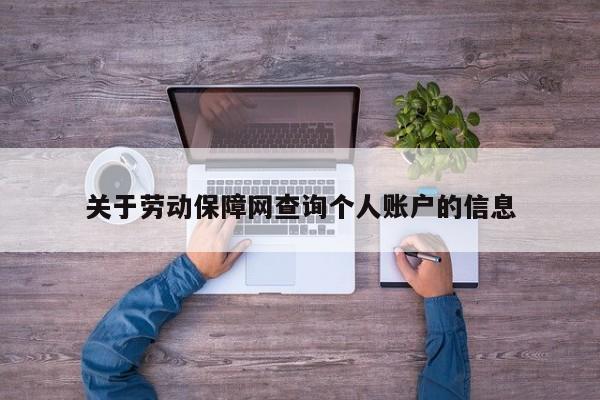 关于劳动保障网查询个人账户的信息