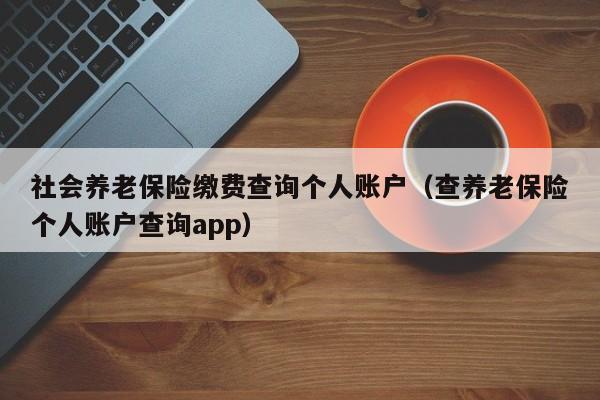 社会养老保险缴费查询个人账户（查养老保险个人账户查询app）