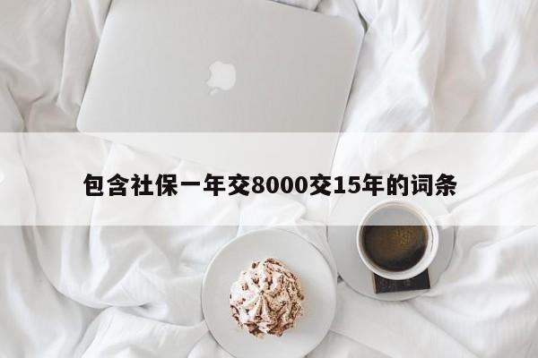 包含社保一年交8000交15年的词条