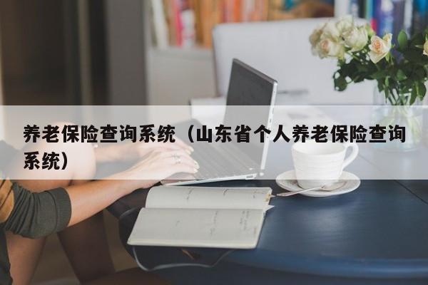 养老保险查询系统（山东省个人养老保险查询系统）