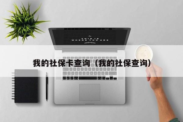 我的社保卡查询（我的社保查询）