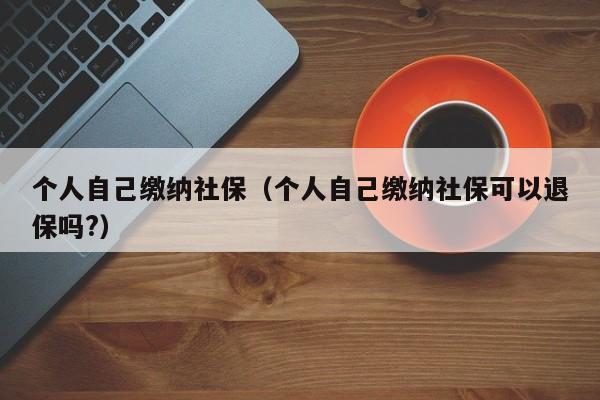 个人自己缴纳社保（个人自己缴纳社保可以退保吗?）