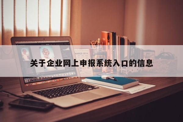 关于企业网上申报系统入口的信息