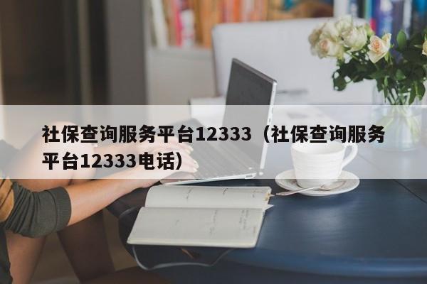 社保查询服务平台12333（社保查询服务平台12333电话）