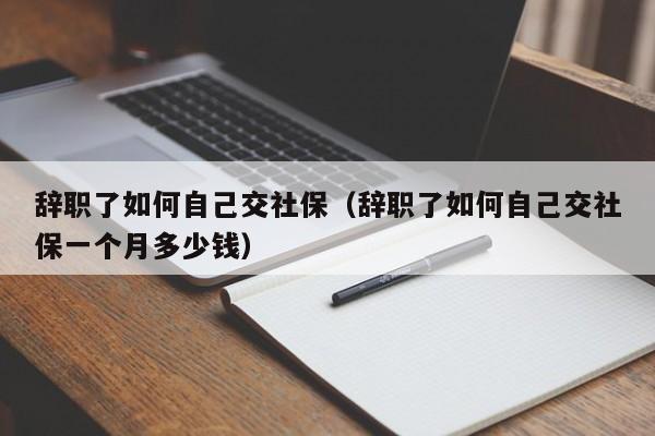 辞职了如何自己交社保（辞职了如何自己交社保一个月多少钱）