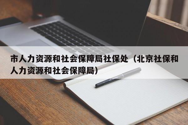 市人力资源和社会保障局社保处（北京社保和人力资源和社会保障局）