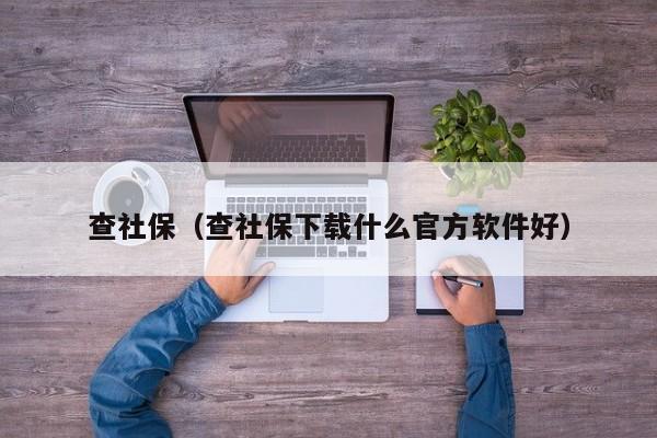 查社保（查社保下载什么官方软件好）