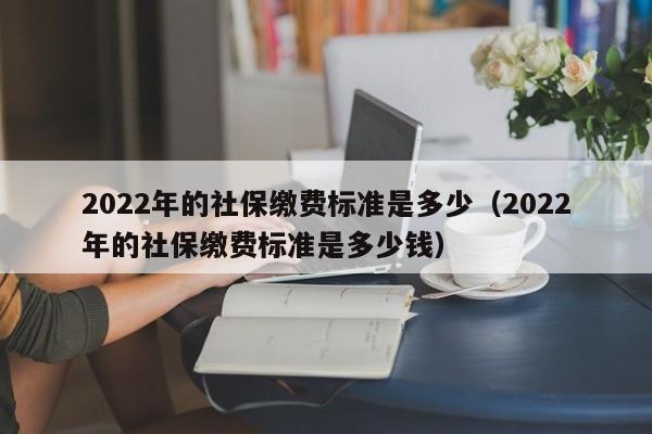 2022年的社保缴费标准是多少（2022年的社保缴费标准是多少钱）