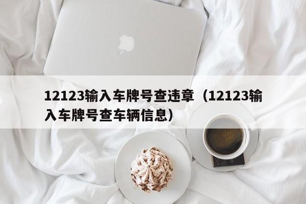 12123输入车牌号查违章（12123输入车牌号查车辆信息）