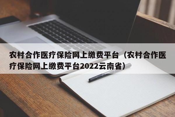 农村合作医疗保险网上缴费平台（农村合作医疗保险网上缴费平台2022云南省）