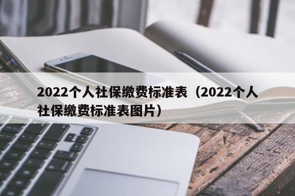 2022个人社保缴费标准表（2022个人社保缴费标准表图片）