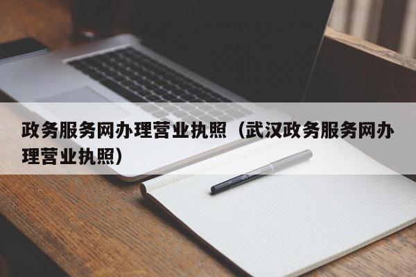 政务服务网办理营业执照（武汉政务服务网办理营业执照）