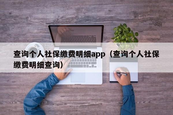 查询个人社保缴费明细app（查询个人社保缴费明细查询）