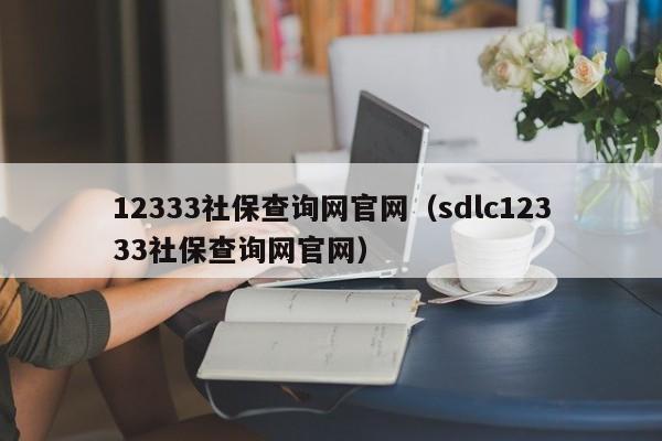 12333社保查询网官网（sdlc12333社保查询网官网）