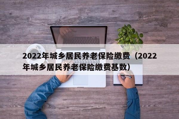 2022年城乡居民养老保险缴费（2022年城乡居民养老保险缴费基数）