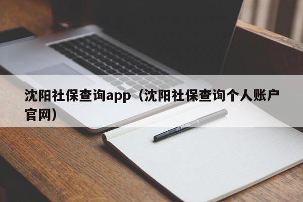 沈阳社保查询app（沈阳社保查询个人账户官网）