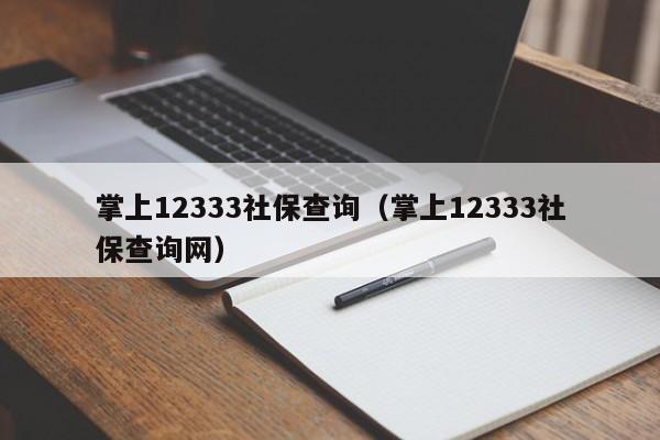 掌上12333社保查询（掌上12333社保查询网）