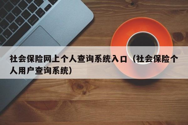 社会保险网上个人查询系统入口（社会保险个人用户查询系统）