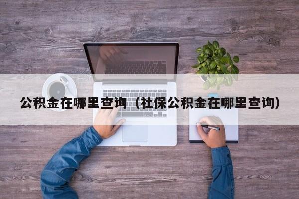 公积金在哪里查询（社保公积金在哪里查询）