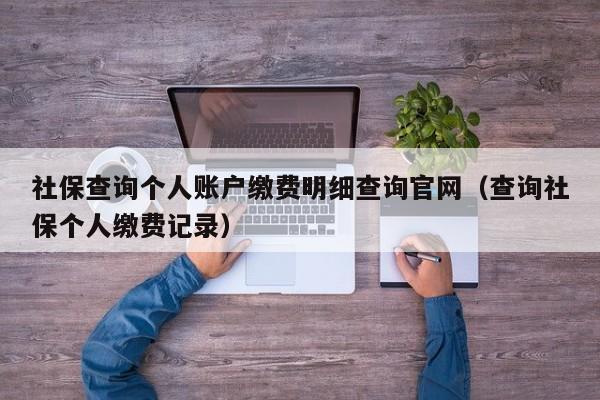 社保查询个人账户缴费明细查询官网（查询社保个人缴费记录）