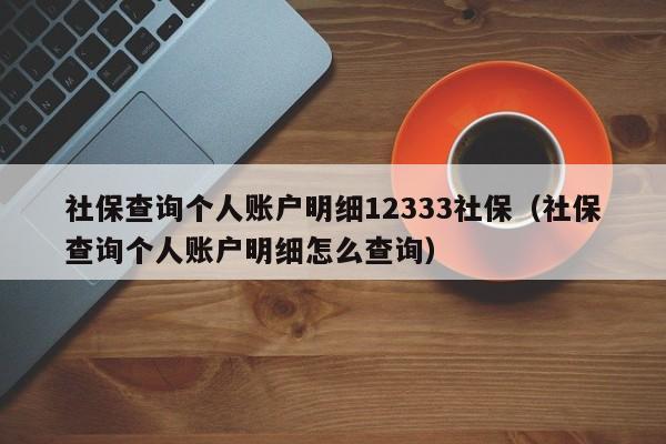 社保查询个人账户明细12333社保（社保查询个人账户明细怎么查询）