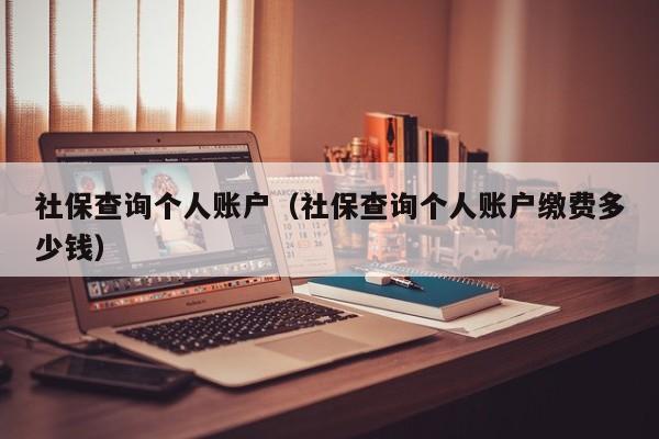 社保查询个人账户（社保查询个人账户缴费多少钱）