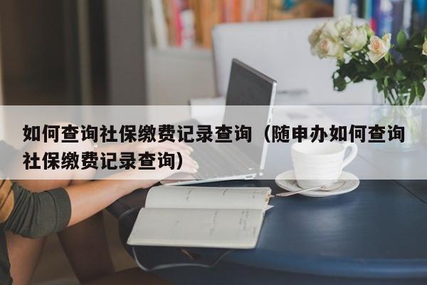 如何查询社保缴费记录查询（随申办如何查询社保缴费记录查询）