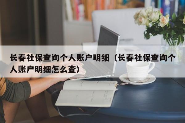 长春社保查询个人账户明细（长春社保查询个人账户明细怎么查）